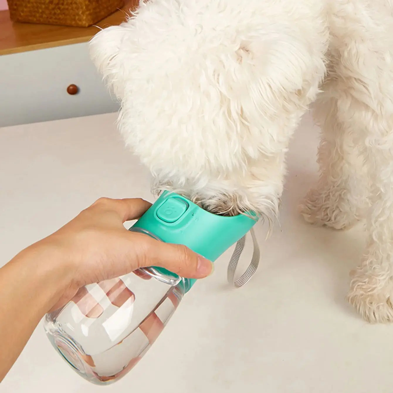 NoThirst Dog WaterBottle